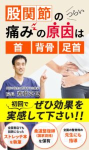 兵庫県西宮と宝塚で股関節の痛みの専門整体で根本から解決
