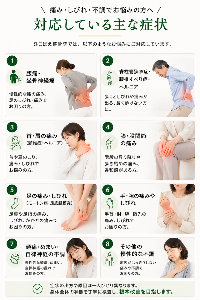 ひこばえ整骨院の対応症状