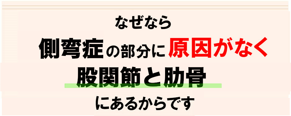 代替テキスト