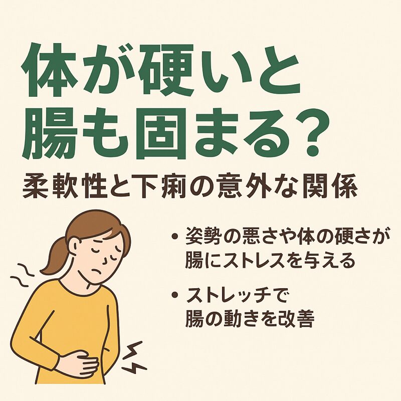 体が硬いと腸も固まる？柔軟性と下痢の意外な関係
