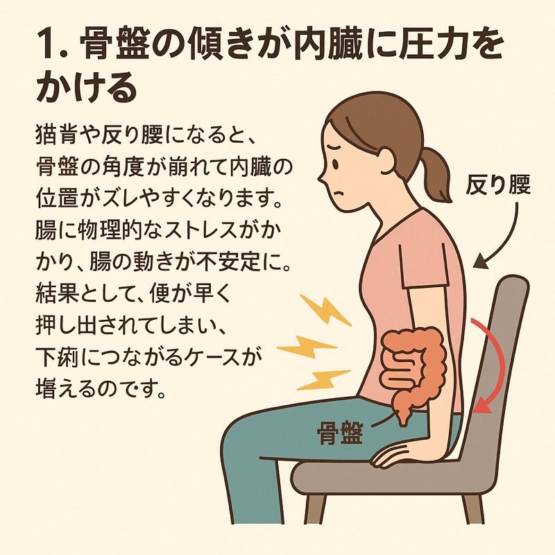 姿勢が悪くなると、骨盤が圧迫されて、腸や内臓の動きが悪くなる