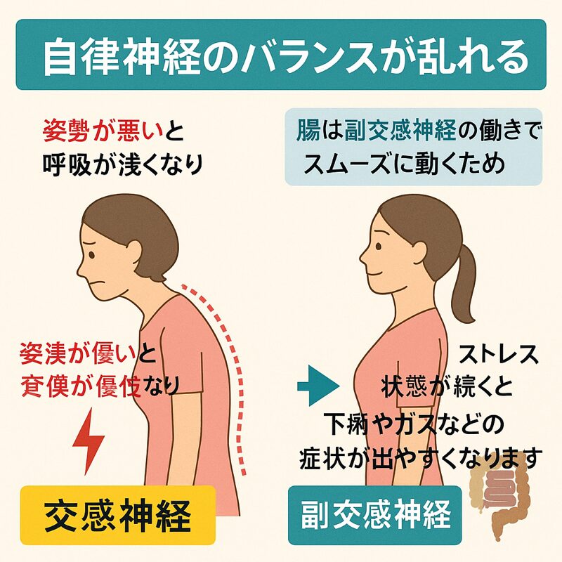 自律神経の働きが悪くなれば、神経が過敏になったり、鈍感になることで内臓の働きが悪くなる