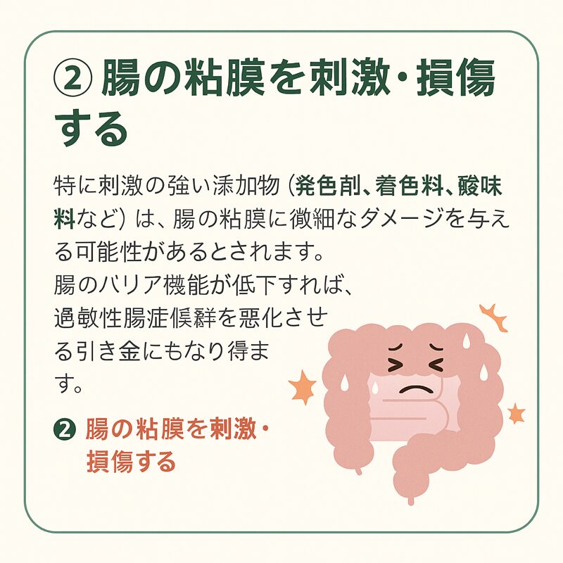 腸の粘膜を刺激・損傷する特に刺激の強い添加物（発色剤、着色料、酸味料など）は、腸の粘膜に微細なダメージを与える可能性があるとされます。
腸のバリア機能が低下すれば、過敏性腸症候群を悪化させる引き金にもなり得ます。