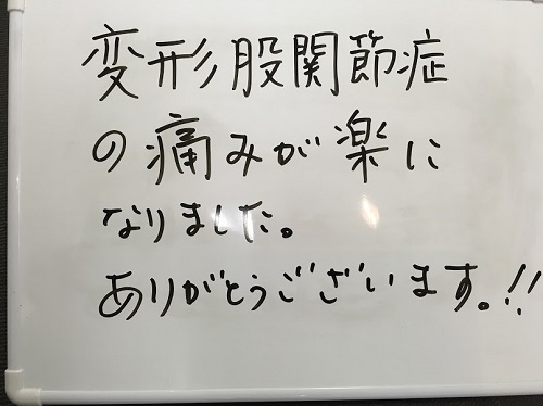 代替テキスト
