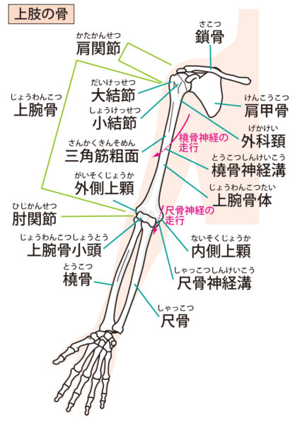 胸郭出口症候群とは