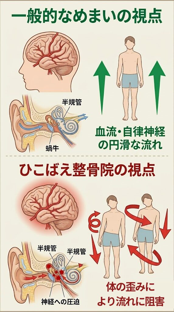 めまいの原因。体の歪みでひこばえが考えるバランス