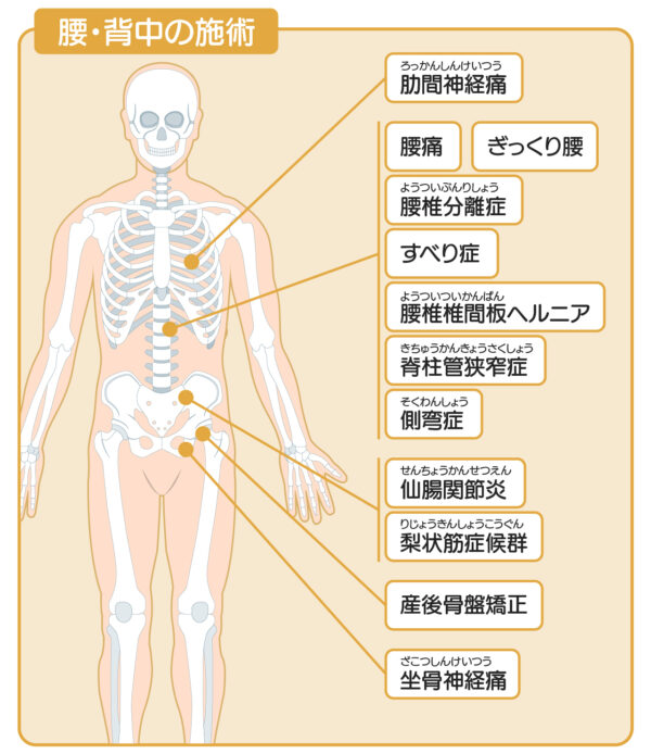 ひこばえ整骨院対応症状胸、腰周辺