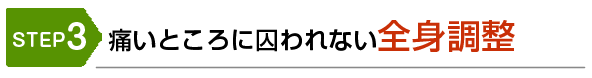 STEP3　痛いところに囚われない全身調整