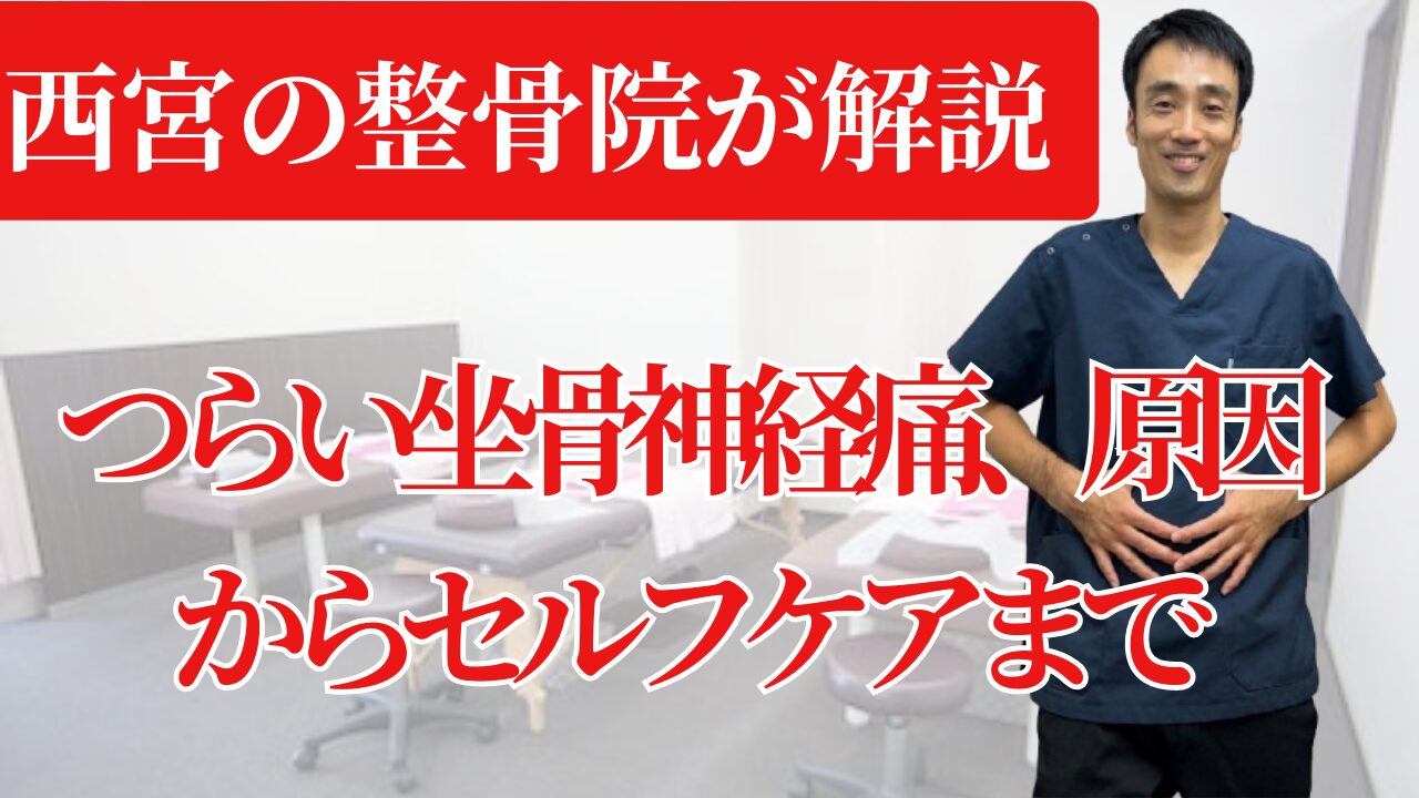 【西宮の整骨院が解説】つらい坐骨神経痛、原因から自分でできる改善策まで
